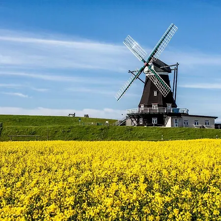 Gud Jard Nr 34 - Design-ferienhaus Mit Exklusiver Ausstattung * Pellworm