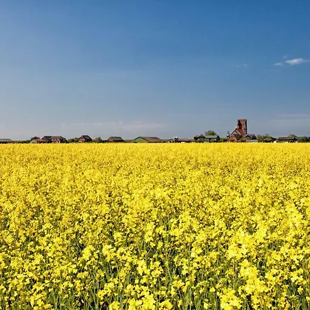 Gud Jard Nr 34 - Design-ferienhaus Mit Exklusiver Ausstattung 펜션 *