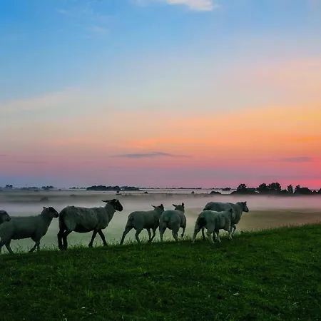 Σπίτι διακοπών Gud Jard Nr 34 - Design-ferienhaus Mit Exklusiver Ausstattung *