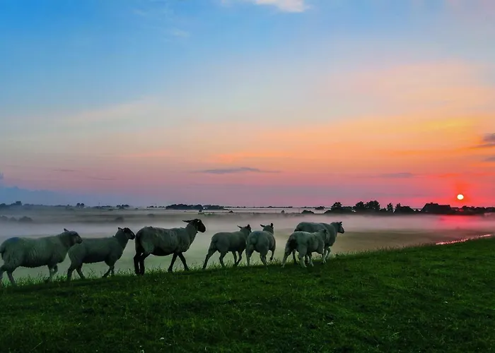 Vakantiehuis Gud Jard Nr 34 - Design-ferienhaus Mit Exklusiver Ausstattung *