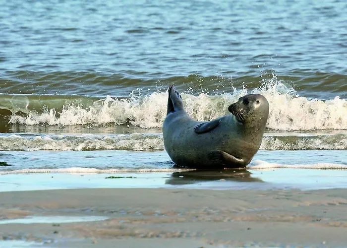 Gud Jard Nr 34 - Design-ferienhaus Mit Exklusiver Ausstattung * Pellworm